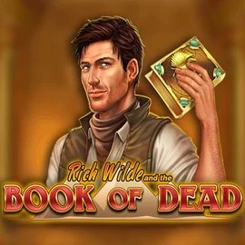 Book of Dead logo by Play'n GO at Arctic Casino